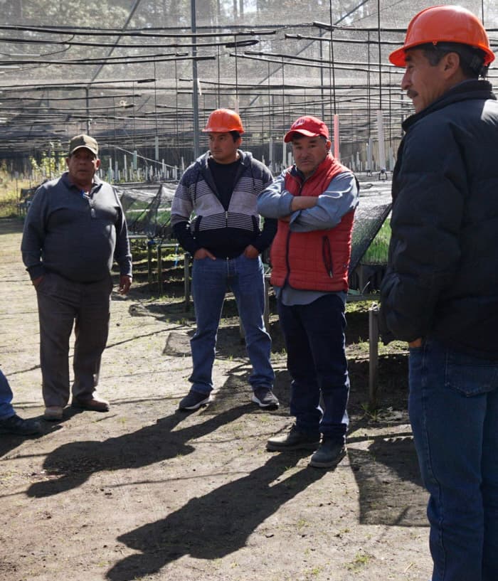 Agricultural workers talking